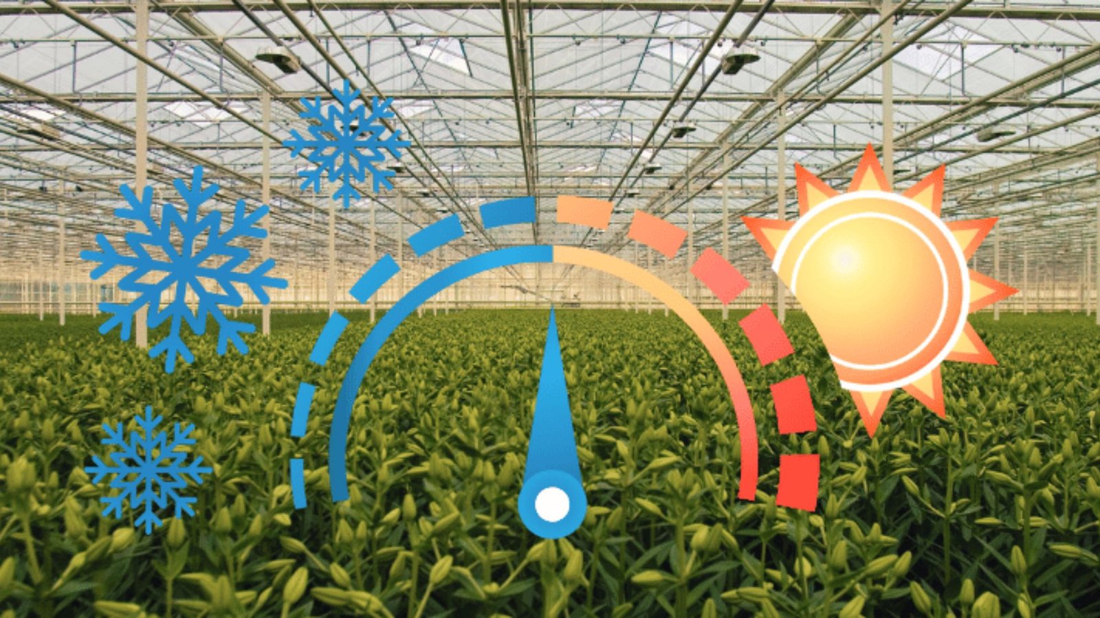 A greenhouse featuring a thermometer and a bright sun, indicating a warm and sunny environment for plant growth.
