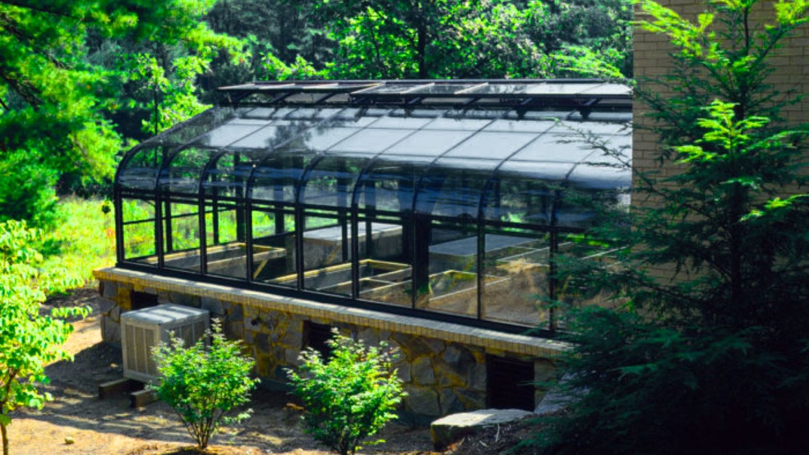 A modern glass house stands prominently with a lush green tree in the background.