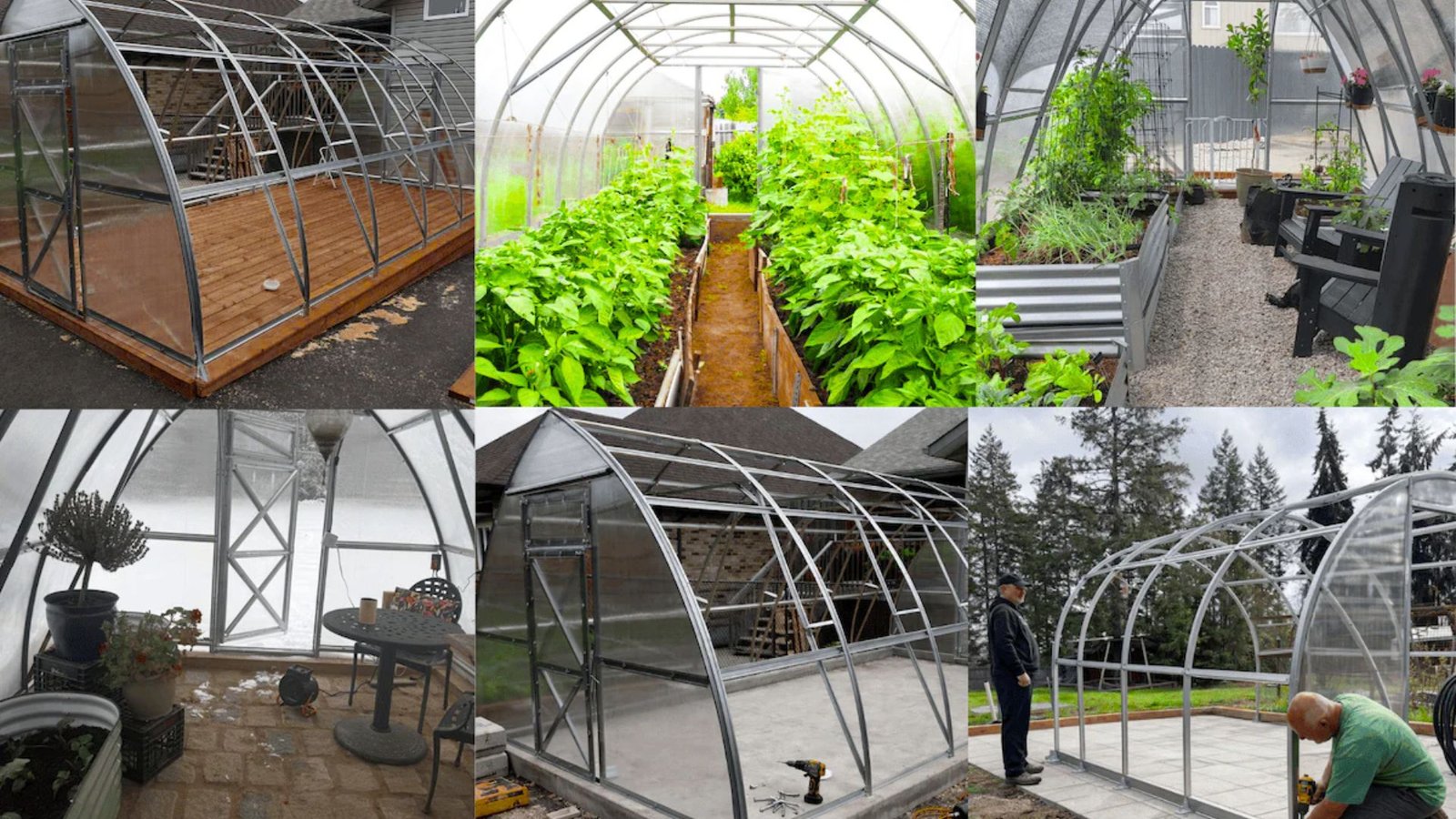 Six images show diverse individuals tending to plants and flowers inside a vibrant greenhouse environment.