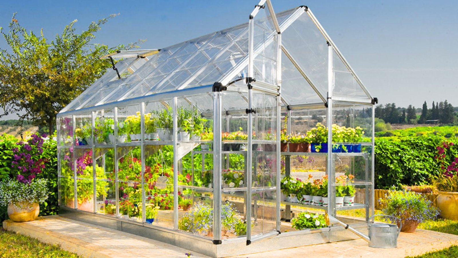 A compact greenhouse containing an assortment of plants, illustrating a thriving indoor garden space.