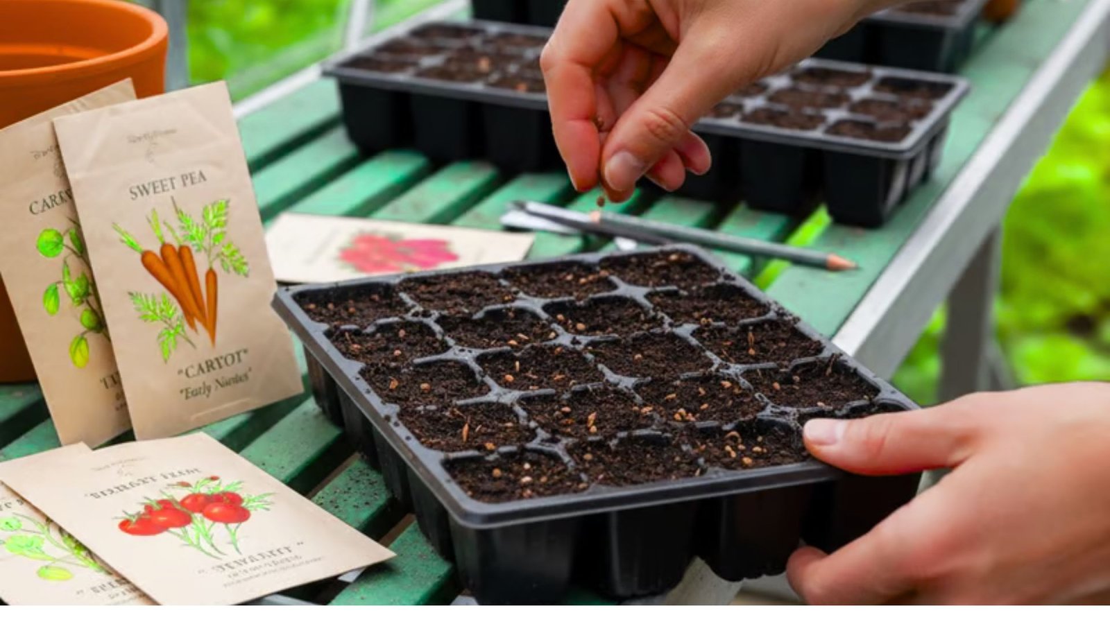 Beginner gardener starting seeds inside a bright greenhouse with seed trays and gardening tools.