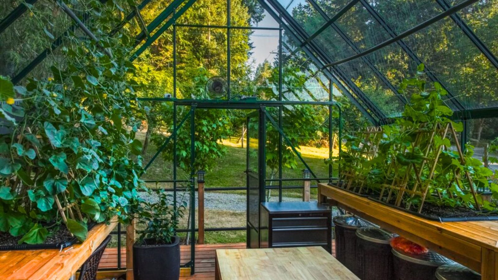 A greenhouse filled with various plants and a wooden bench for seating.